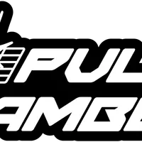 Pulse Chamber logo