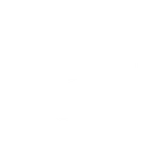 The Disco Club logo