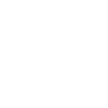 The Disco Club logo