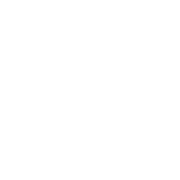 Rectify Collective logo