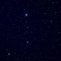 Jackson's Crew FYI logo